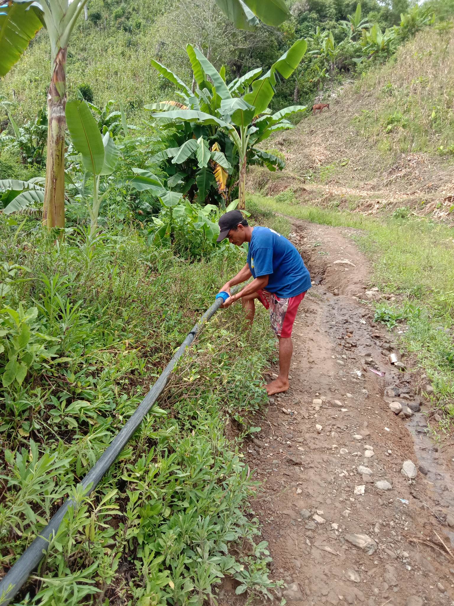 Rent vann for bedre helse  – En livsviktig vei til trygt drikkevann
