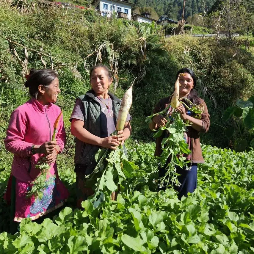 Seeds of Hope – selvforsynte familier i Nepal